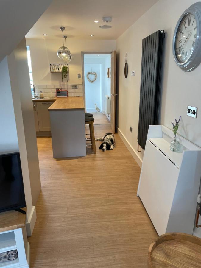 St Reatham Cottage Kilmington  ภายนอก รูปภาพ