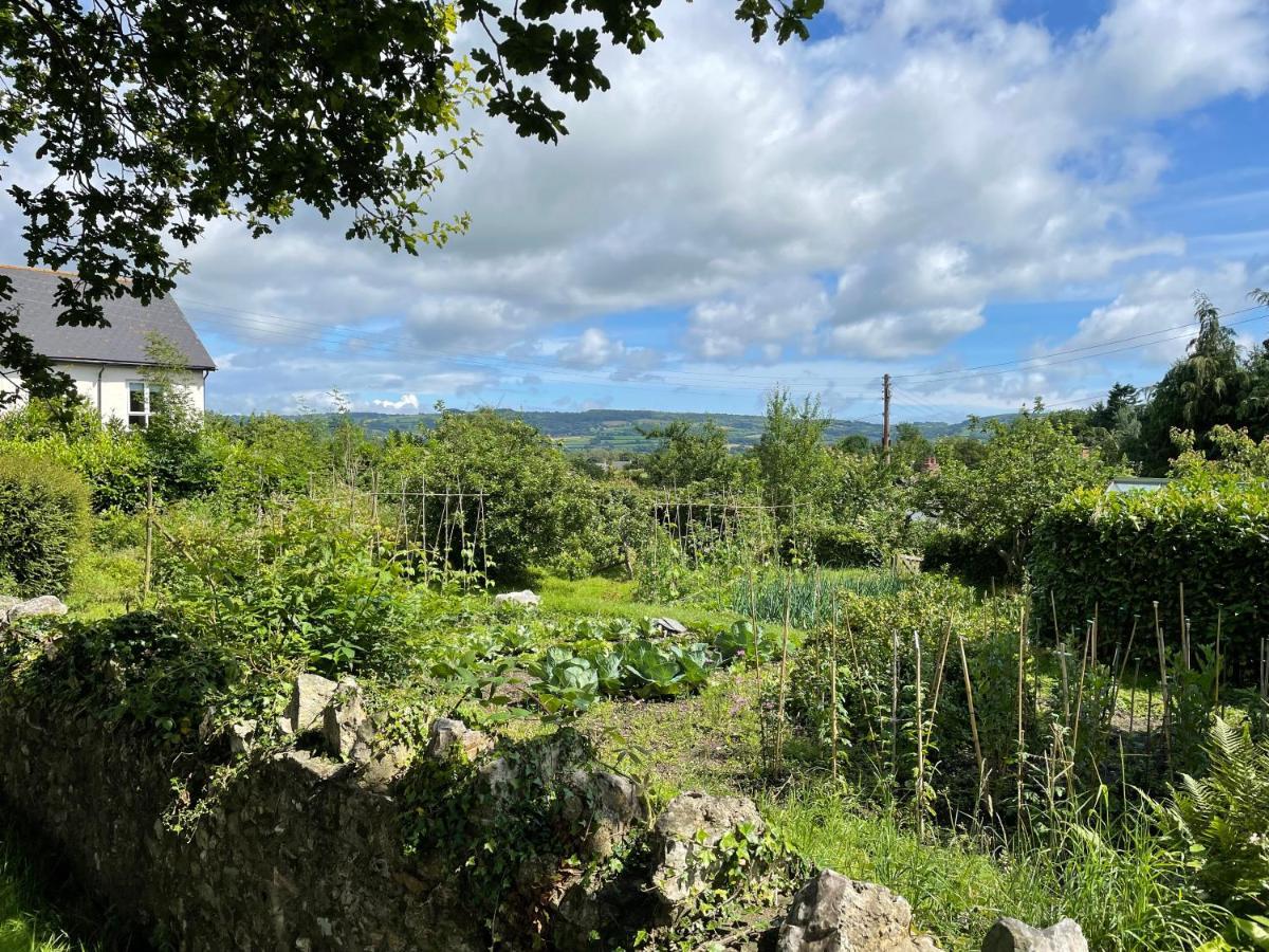 St Reatham Cottage Kilmington  ภายนอก รูปภาพ